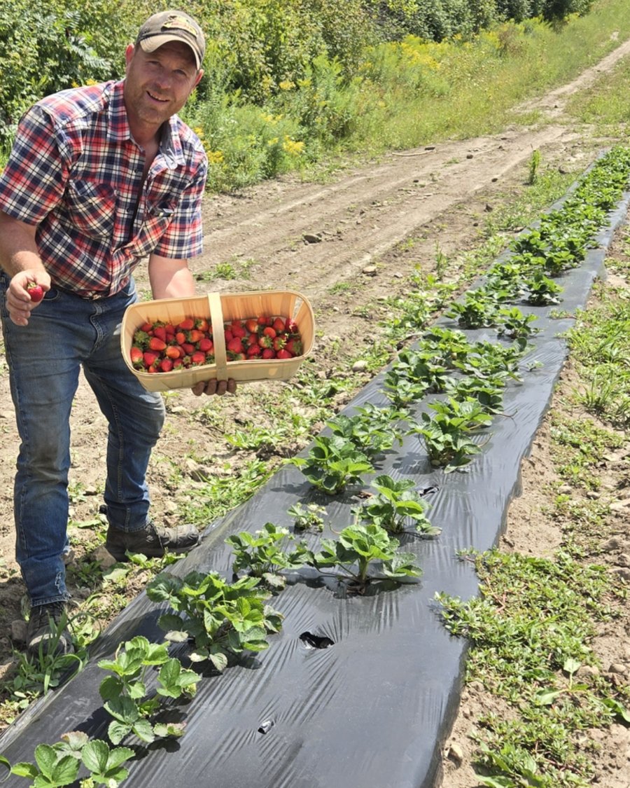 A Nansan Farms grower with a basket of fresh-picked strawberries