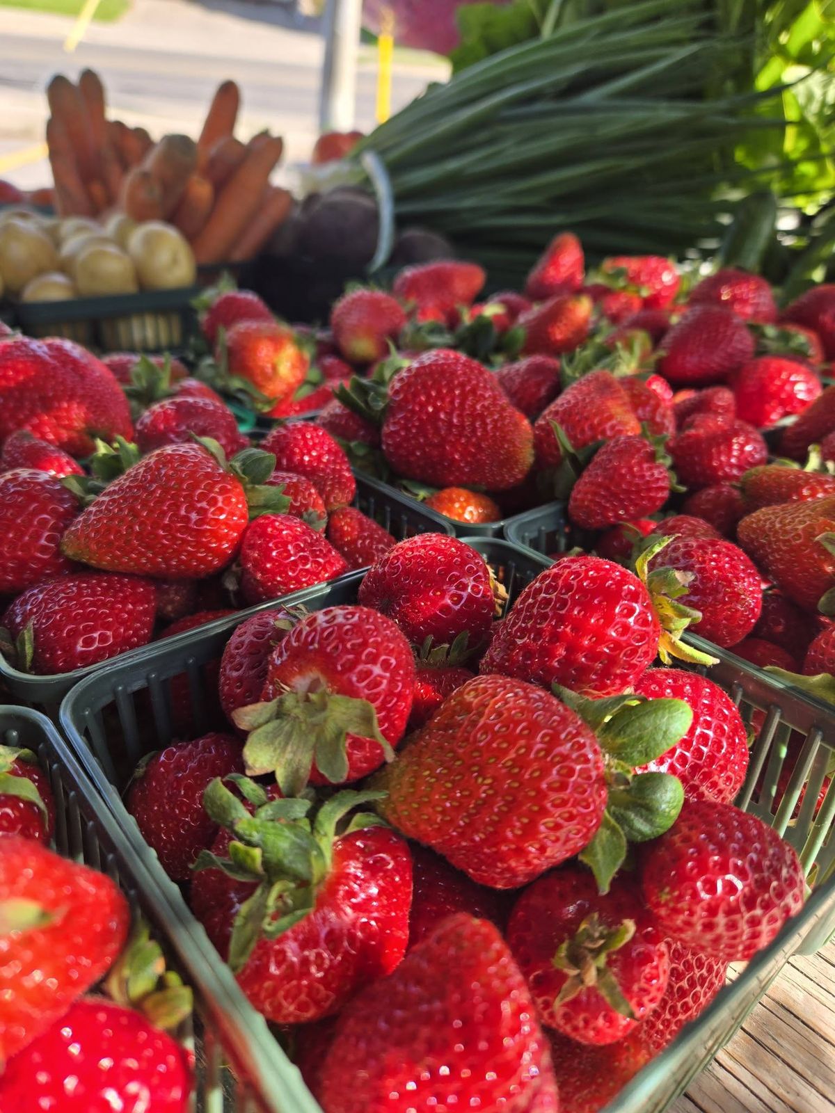 Fresh strawberries at Nansan Farms